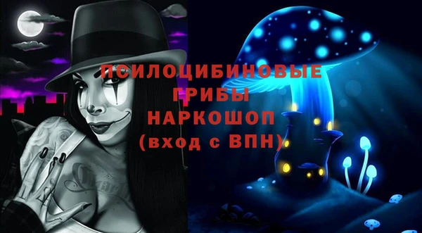 СК Беломорск