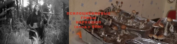 кокаин колумбия Белокуриха