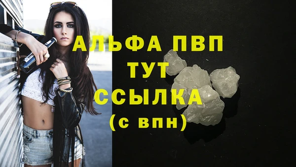 спиды Белоозёрский